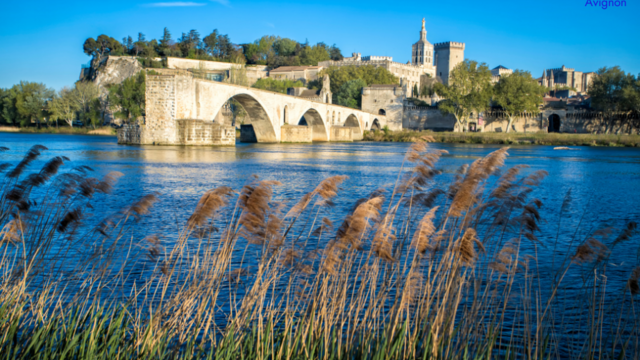 Ville d'Avignon 